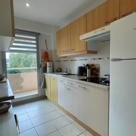 Climatise 2 Etoiles Avec Balcon, Proche Et Centre - - Fr-1-308-199 * Le Lavandou
