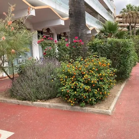 Climatise 2 Etoiles Avec Balcon, Proche Et Centre - - Fr-1-308-199 * Le Lavandou